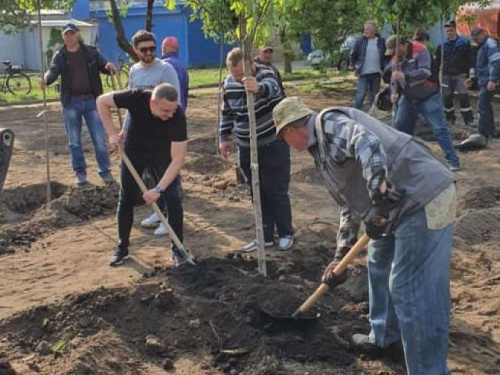 Коммунальщики продолжают озеленение Авдеевки:фотофакт