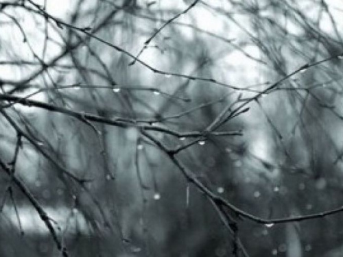 «Снега не будет»: синоптики дали прогноз погоды на последнюю неделю декабря