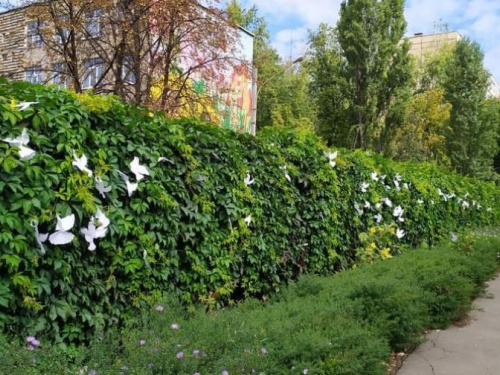 Як в Авдіївці святкували Міжнародний день миру