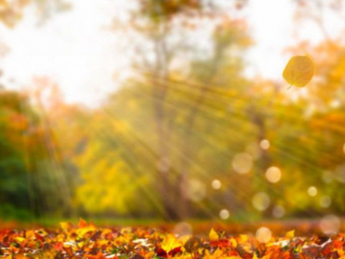 В Авдеевке завтра похолодает