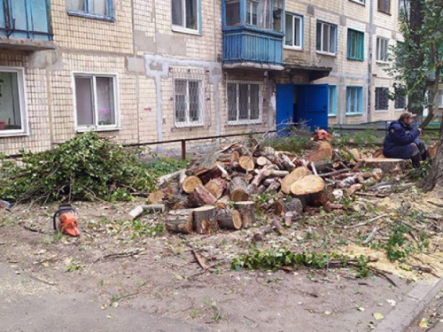 В Авдеевке прощаются с аварийными деревьями (ФОТОФАКТ)