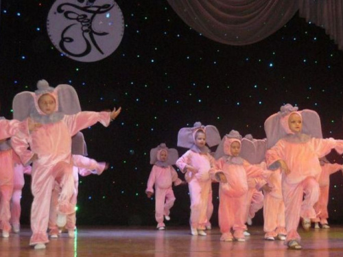 В Авдеевке танцевали слонята и индийские красавицы (ФОТО)