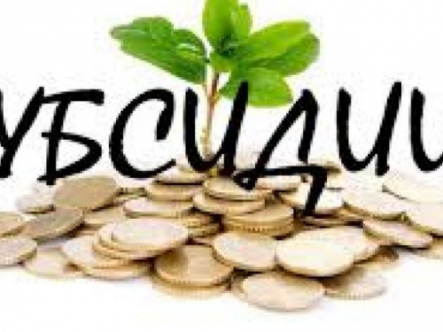 Система субсидий будет работать в полной мере