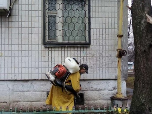 В Авдіївці комунальники проводять дезінсекцію підвальних приміщень: адреса будинків