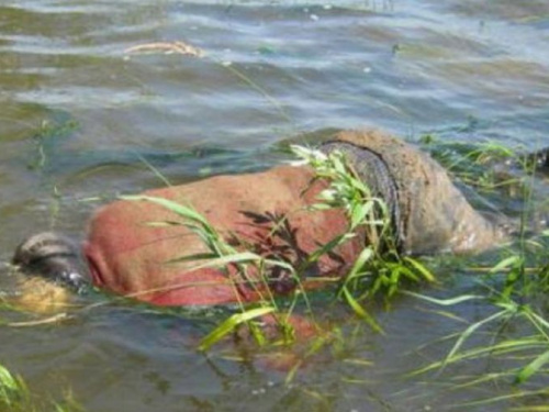 Полиция озвучила подробности смерти мужчины, утонувшего в авдеевском карьере