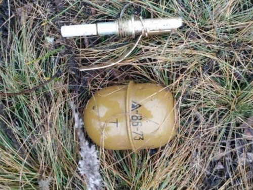 В Красногоровке мужчина хранил гранату на могиле своего брата