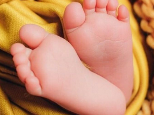 Вскоре авдеевцы смогут воспользоваться "гибридным" декретом для родителей