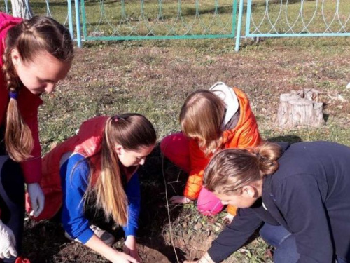 В Авдеевке появился «школьный сад» (ФОТО)