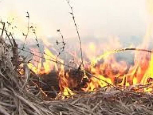 Донетчину ожидает трехдневный «красный» уровень пожарной опасности