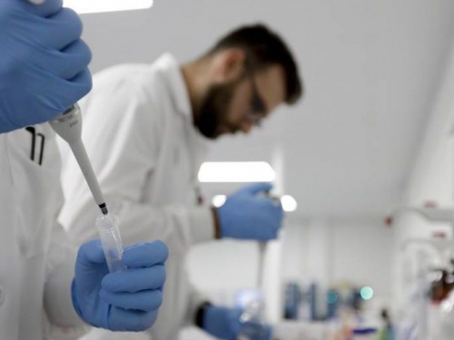 Донецкая область сохранила за собой статус зеленой зоны