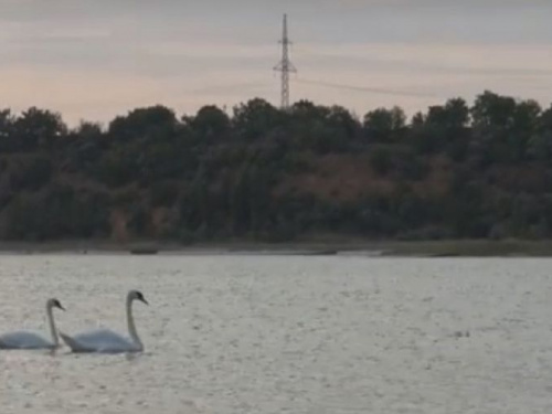 В Авдеевке показали символ мира: опубликовано видео