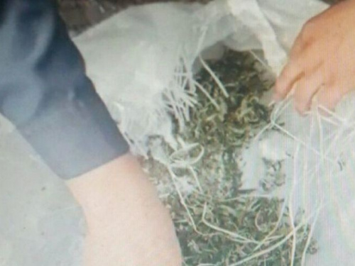 Полиция остановила в Авдеевке прохожего с мешком конопли