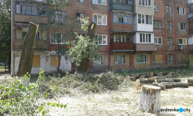 Обрезка деревьев оголила раны прифронтовой Авдеевки (ФОТО)
