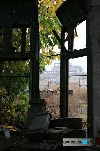 Авдеевская промзона: пуля в снаряде и картина, хоть в рамку (ФОТО)