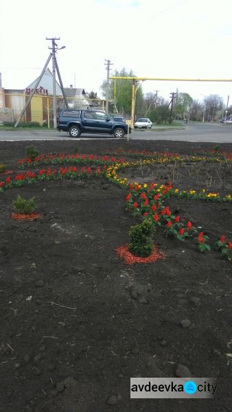 Авдеевка расцвела благодаря коммунальщикам: фотофакт