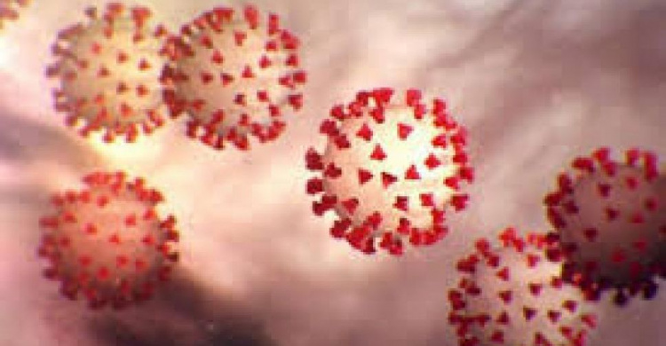В Донецкой области +35 заболевших COVID-19
