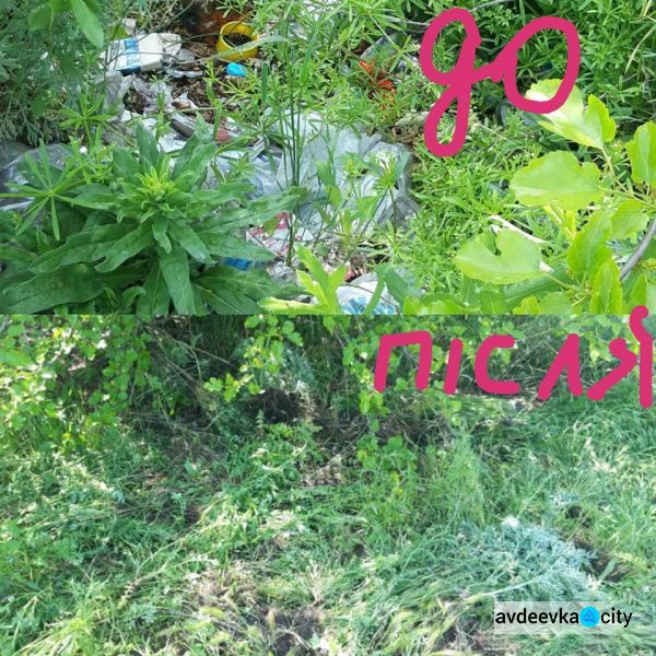 В Авдеевке прошла акция "За чистое будущее":фотофакт