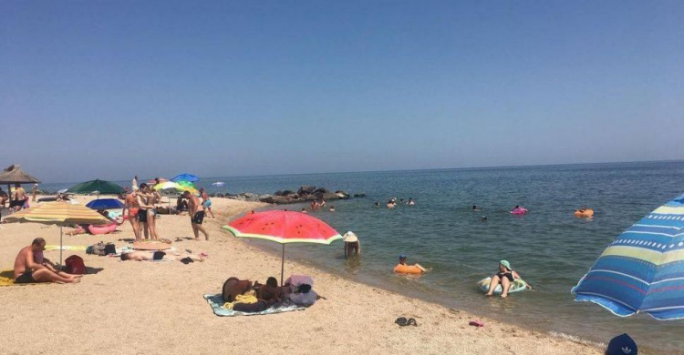 Авдеевцам на заметку: в Бердянске «каша» из медуз, в воду не зайти ( ВИДЕО)