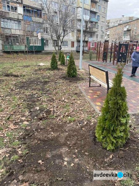 В Авдіївці стартував проект по озелененню міста