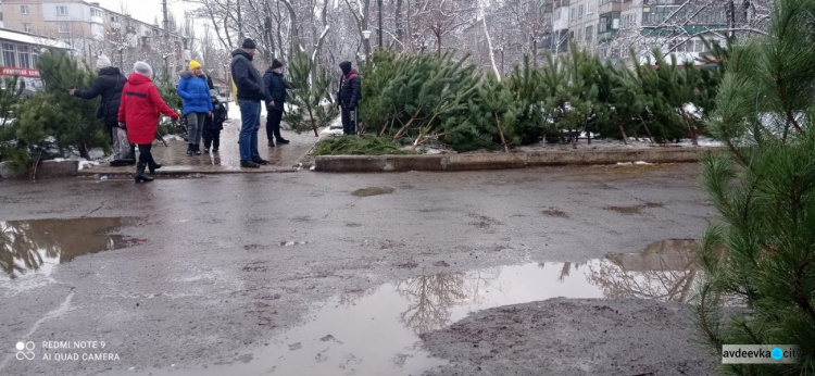 Елочные базары в Авдеевке: во сколько горожанам обойдётся лесная красавица?