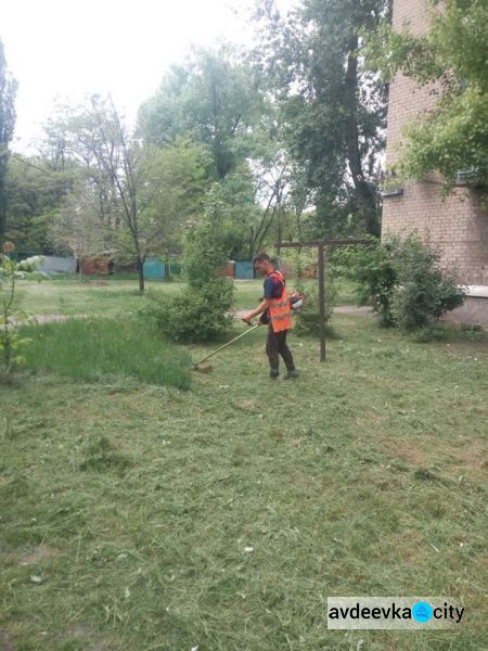 Авдеевские коммунальщики начали покос травы