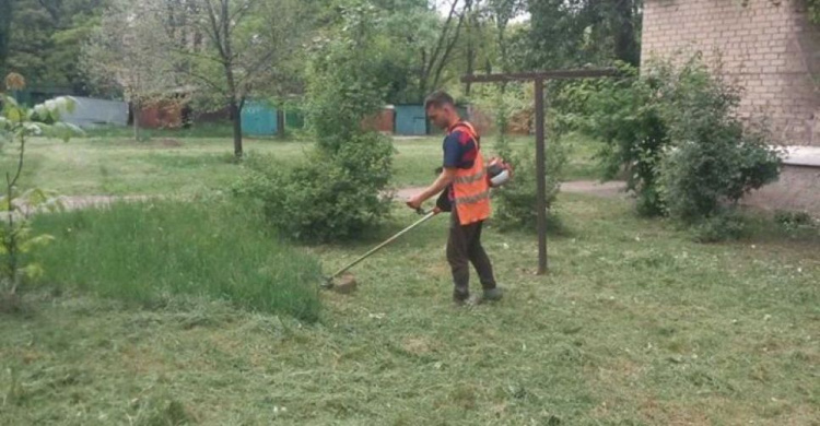Авдеевские коммунальщики начали покос травы