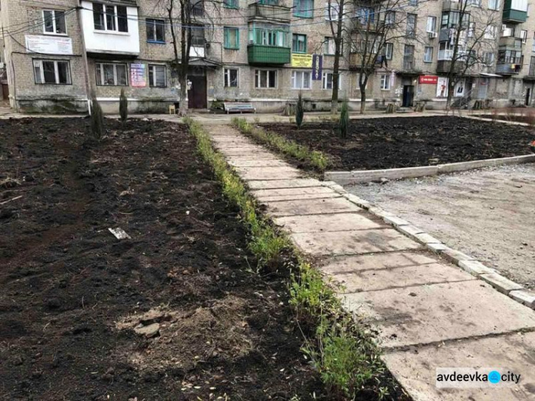 В Авдіївці стартував проект по озелененню міста