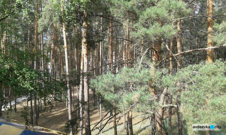 Детей из Авдеевки ждет оздоровительный «Светлячок»