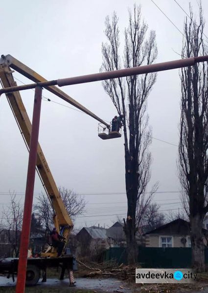 Комунальники Авдіївки проводять санітарку обрізку та видалення аварійних дерев