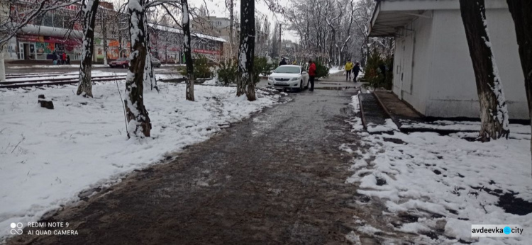 Елочные базары в Авдеевке: во сколько горожанам обойдётся лесная красавица?
