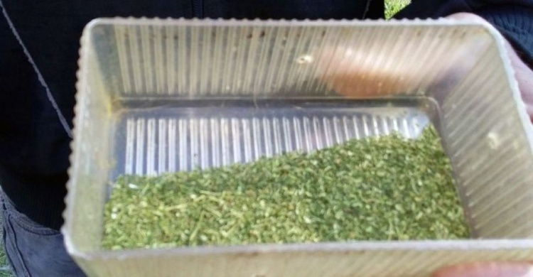 Авдеевские полицейские изъяли марихуану у жителя Новоселовки