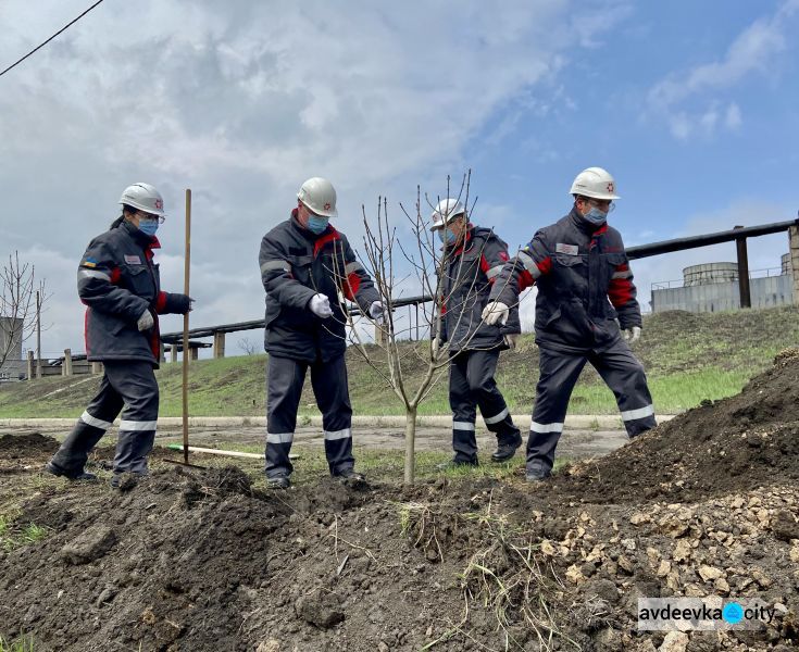 Авдеевские коксохимики присоединились к глобальному экологическому проекту «Озеленение планеты»