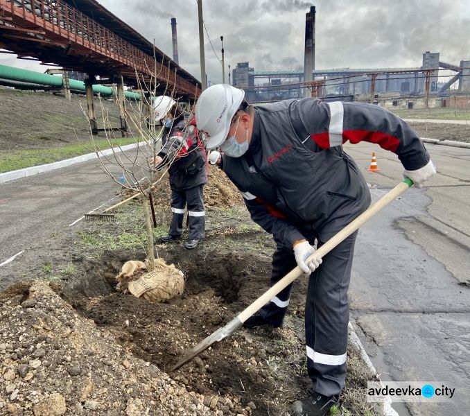 Авдеевские коксохимики присоединились к глобальному экологическому проекту «Озеленение планеты»