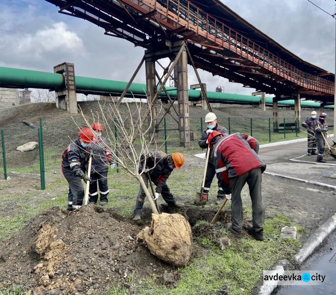 Авдеевские коксохимики присоединились к глобальному экологическому проекту «Озеленение планеты»