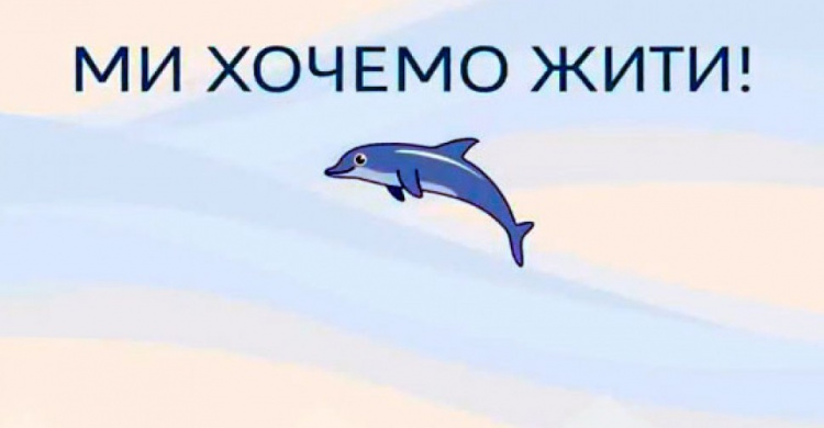Дети из прифронтовых районов Донбасса присоединились к спасению дельфинов (ВИДЕО)