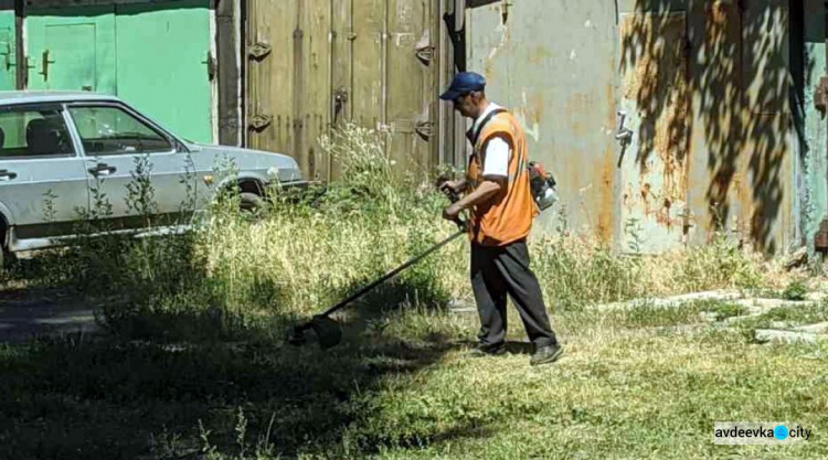 Коммунальщики Авдеевки борются с карантинными растениями