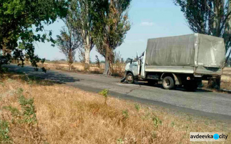 В Донецкой области на дороге на "Газель" упало дерево: два человека госпитализированы (ФОТО)