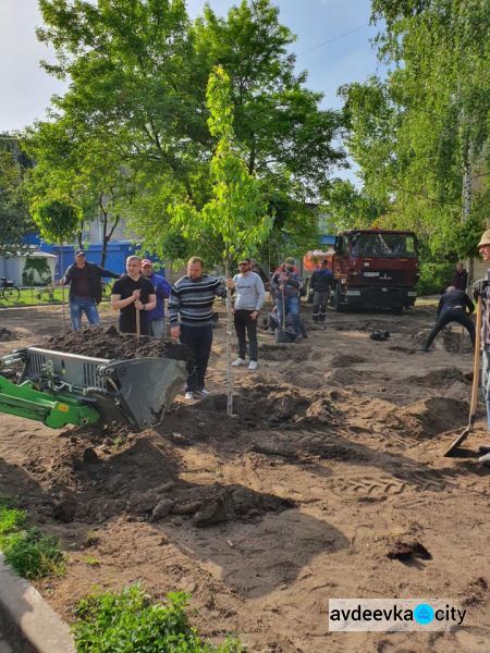 Коммунальщики продолжают озеленение Авдеевки:фотофакт