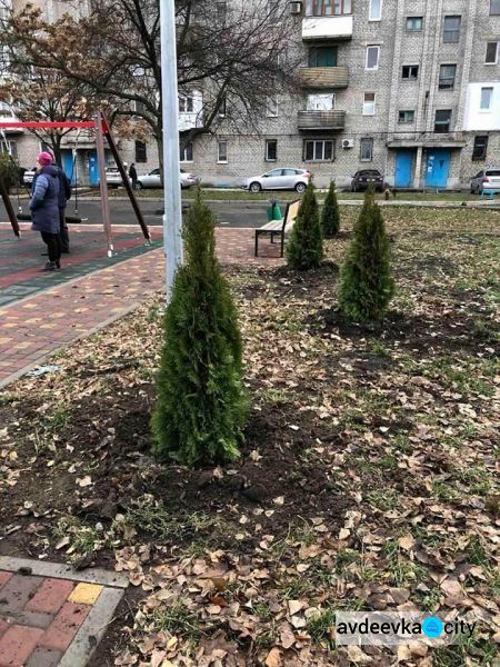 В Авдіївці стартував проект по озелененню міста