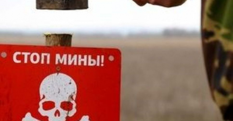 Три человека погибли на Донбассе за месяц из-за взрывоопасных предметов