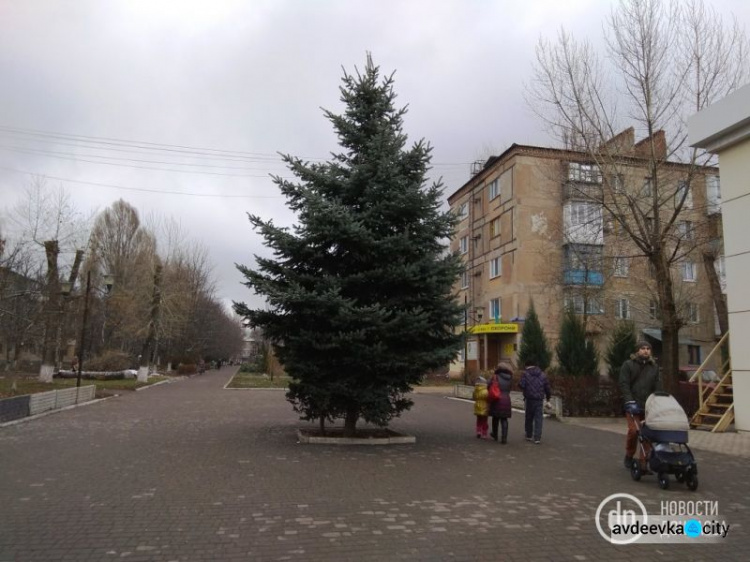 Коляски, цены и раненые дома: фоторепортаж из прифронтовой Авдеевки