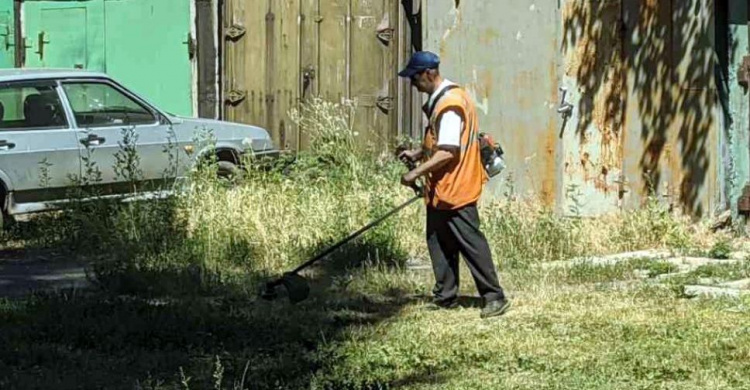 Коммунальщики Авдеевки борются с карантинными растениями