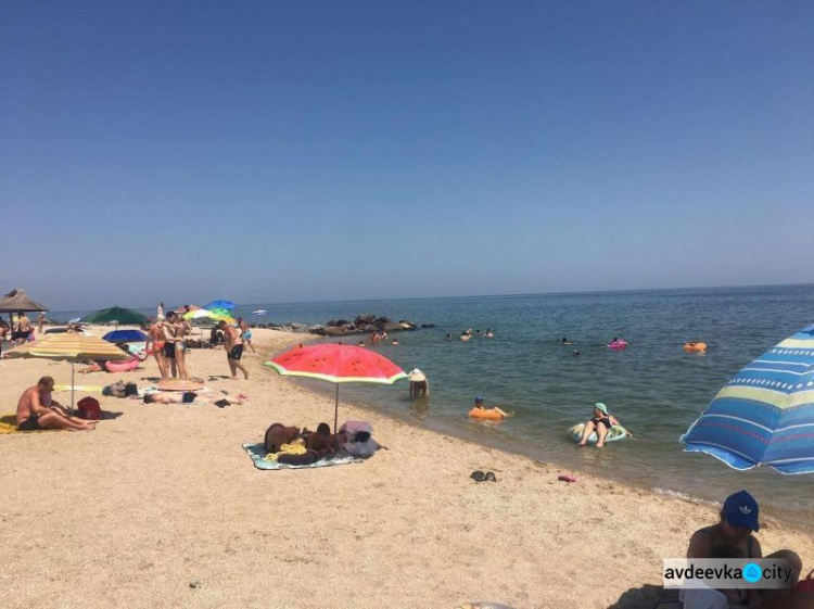 Авдеевцам на заметку: в Бердянске «каша» из медуз, в воду не зайти ( ВИДЕО)