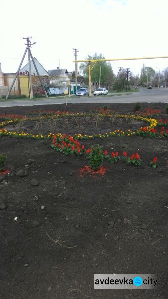 Авдеевка расцвела благодаря коммунальщикам: фотофакт