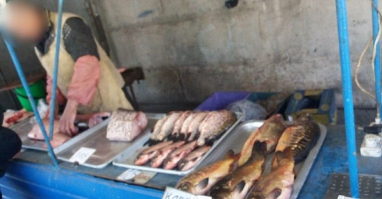 В Авдеевке полицейские разоблачили мужчину, который незаконно выловил около 24 килограмм рыбы