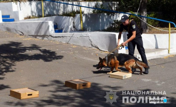 Новая ротация "четвероногих детективов" на Донетчине: на службу заступили группы из 4 регионов (ФОТО)