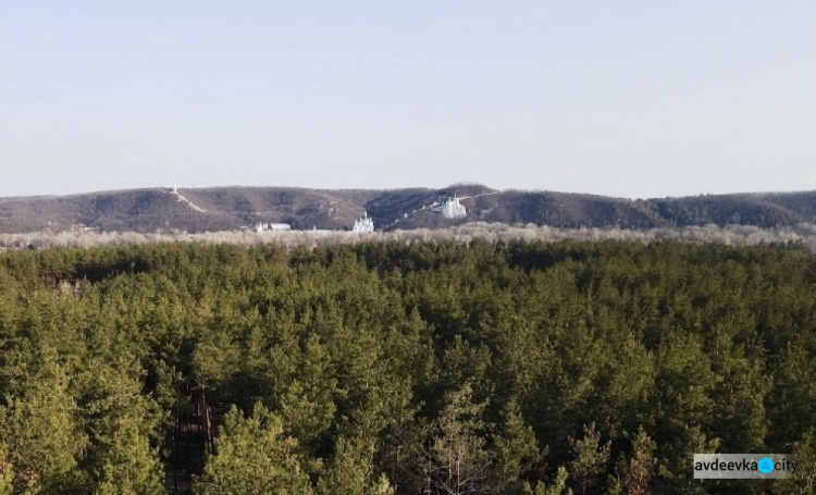 Новый аэропорт на Донбассе могут построить в Святогорске