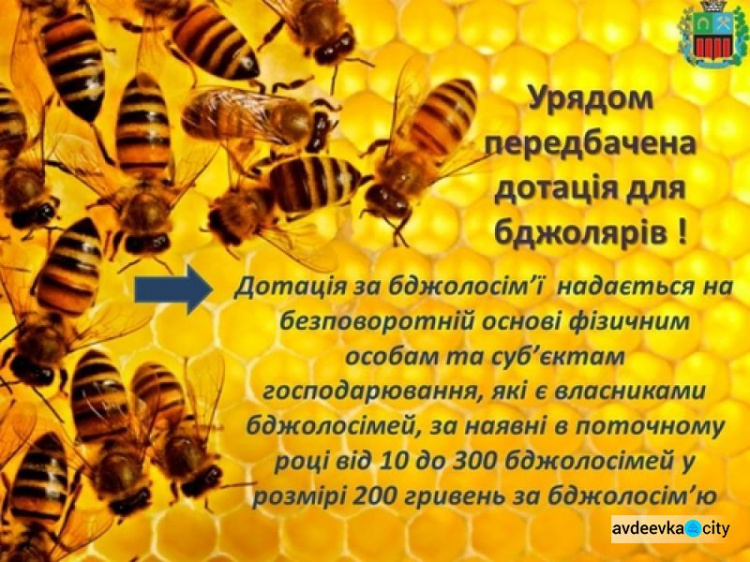 Пасечники Авдеевки могут получить дотацию на пчелосемьи