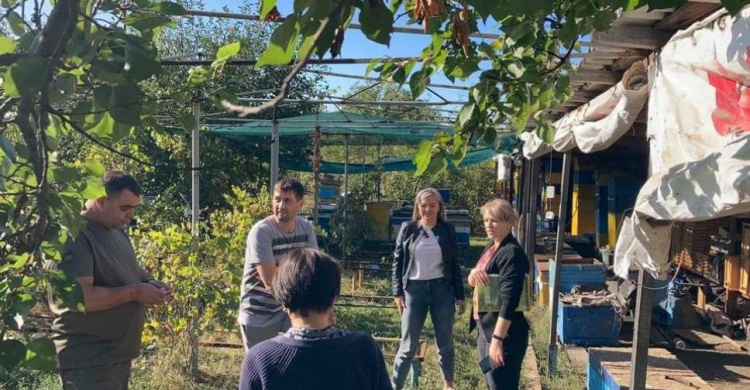 В Авдіївці обстежили пасіки місцевих бджолярів