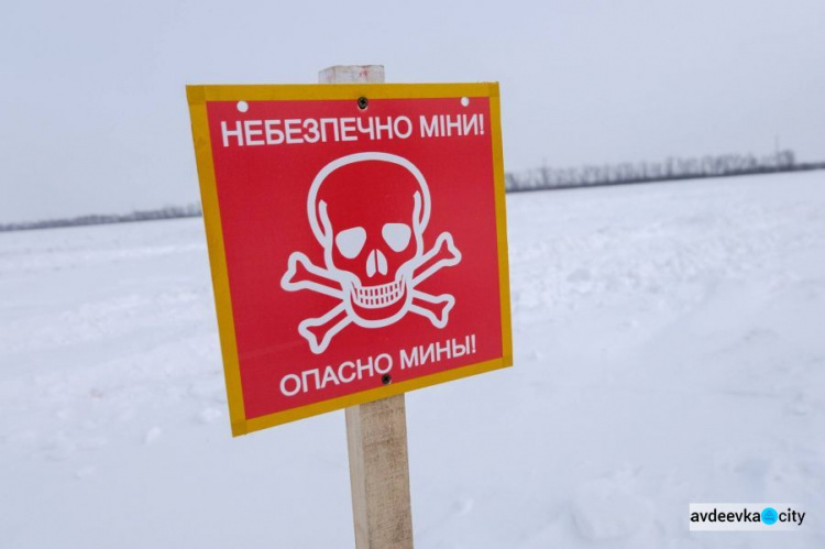 Жебривский рассказал о вагонах «прикопанных» снарядов (ФОТО)